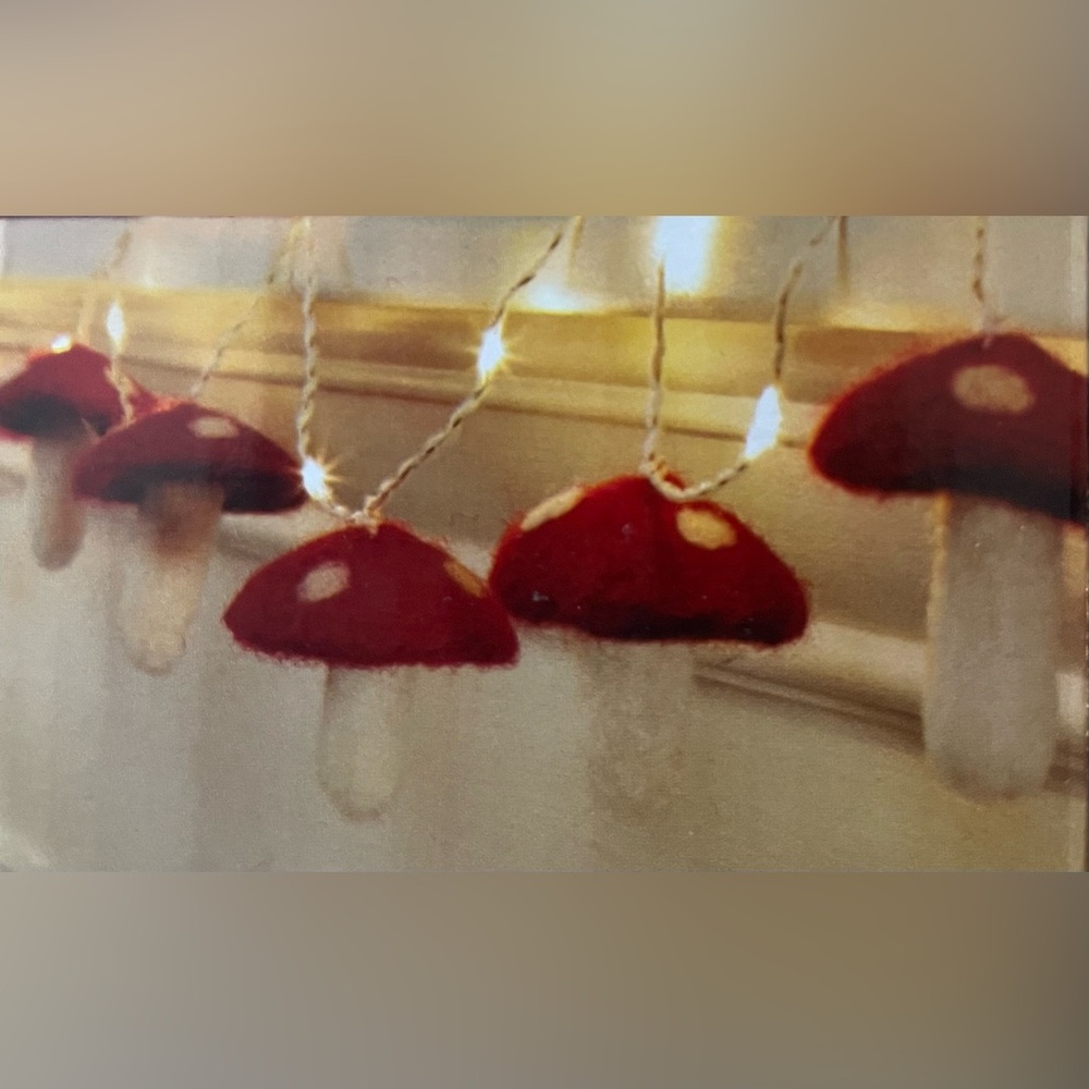 20ct. Warm White LED Felt Mushroom String Lights by Ashland®